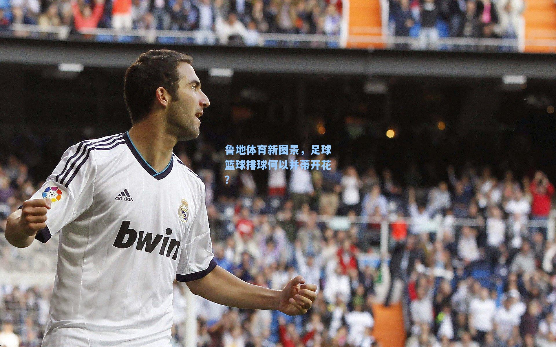 鲁地体育新图景，足球篮球排球何以并蒂开花？